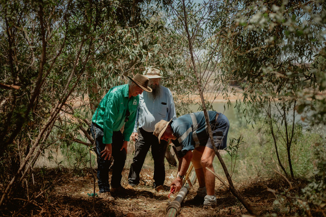 Turtles welcome life-saving water