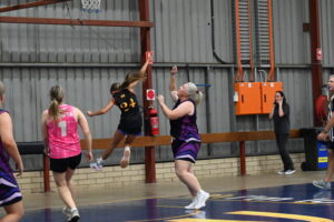 Experienced Bull rage past Llamas