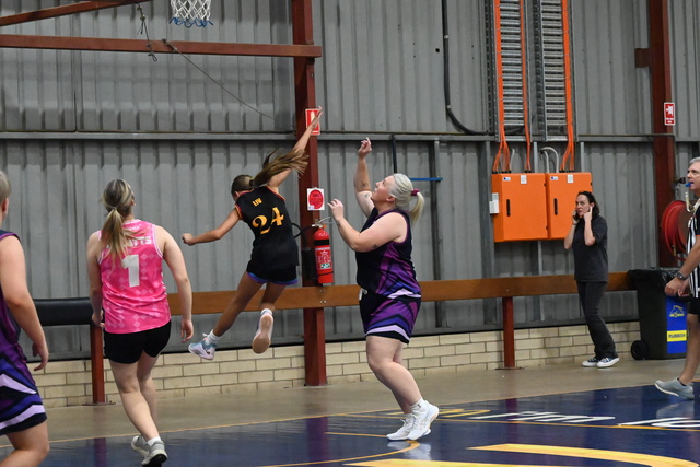 Experienced Bull rage past Llamas