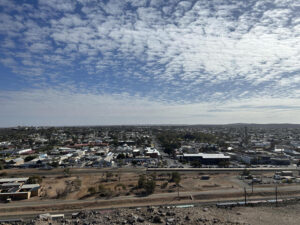 AI and cyber security threats: Auditor General