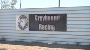 Council pushes to keep greyhound racing