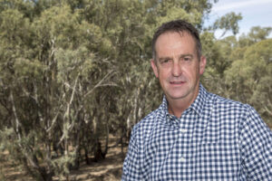 Groups line up for input on plan