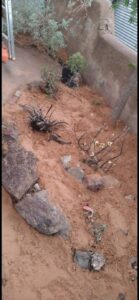 Baby returns high reading even after remediation