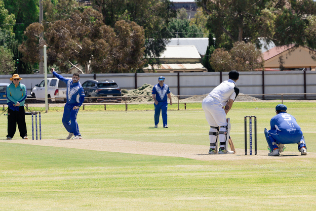 West A Grade top Dogs