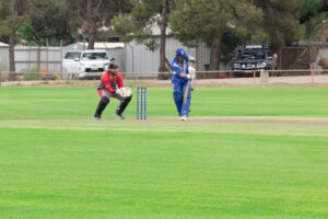 Ruthless Robins crush Dogs